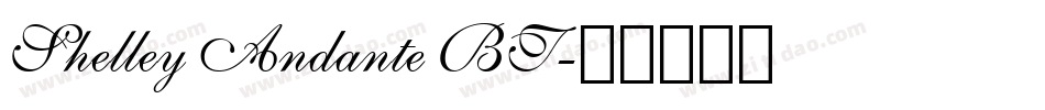 Shelley Andante BT字体转换